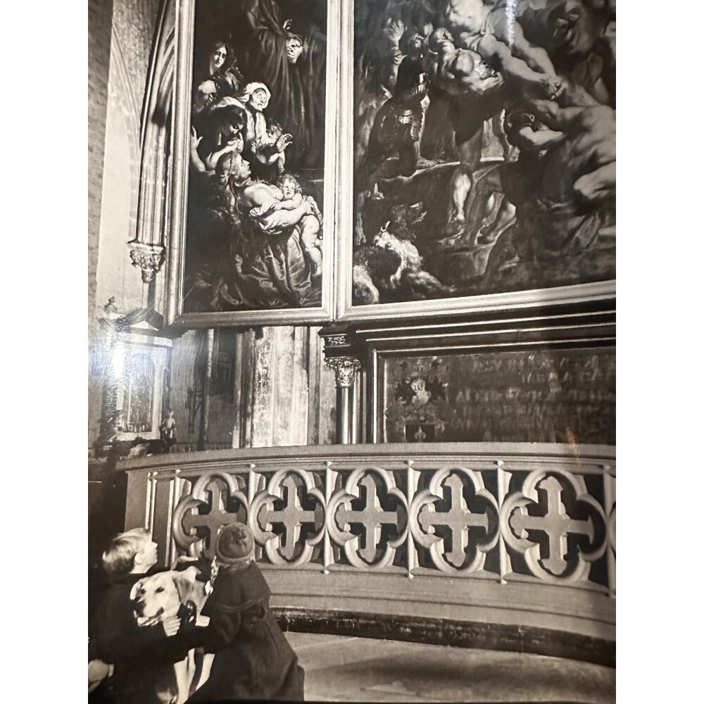 Vintage 1959 "A Dog Of Flanders" Movie Scene Photo Featuring Boy David Ladd & Do
